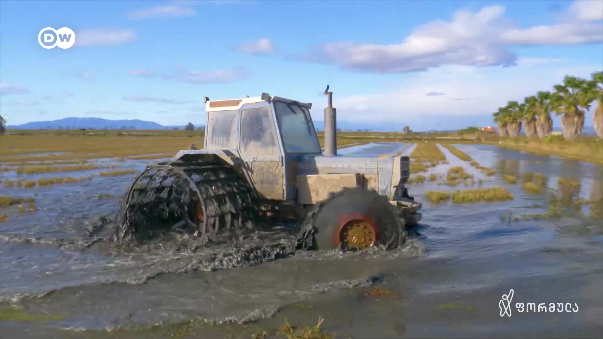 GIA TV Program Thumbnail, Poster