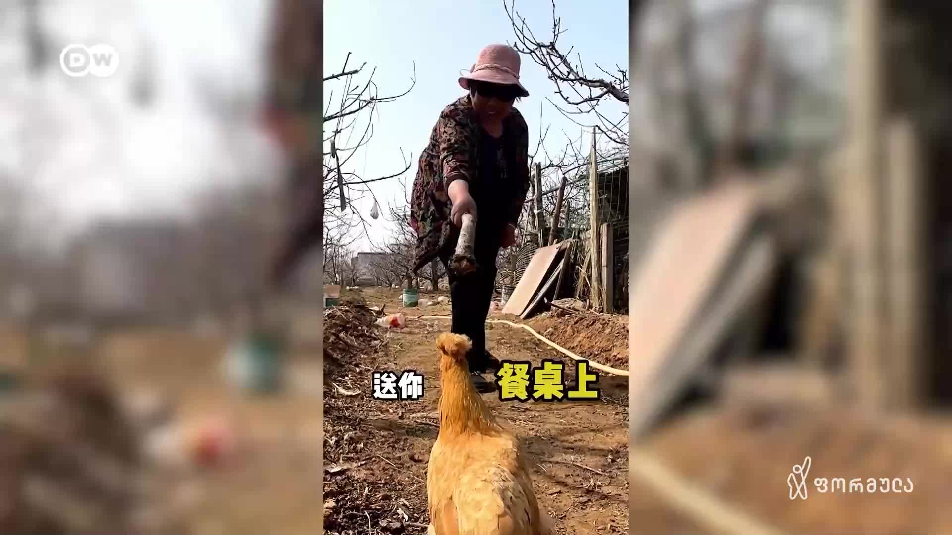 GIA TV Program Thumbnail, Poster