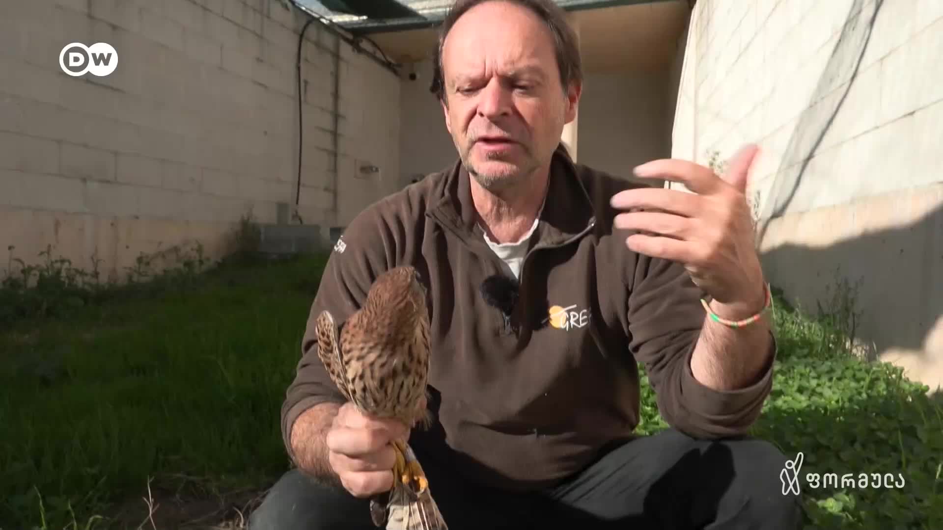 GIA TV Program Thumbnail, Poster