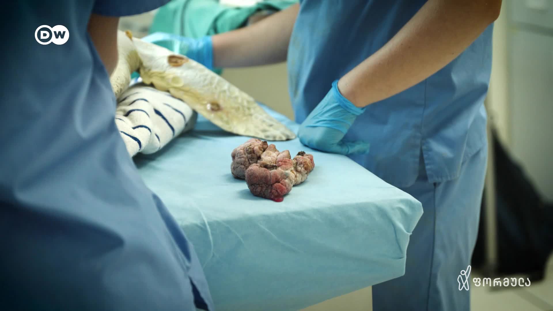 GIA TV Program Thumbnail, Poster