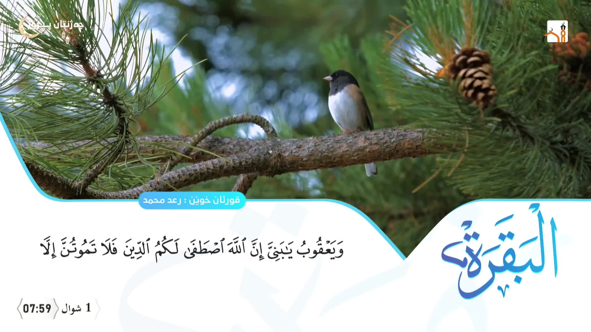 GIA TV Program Thumbnail, Poster