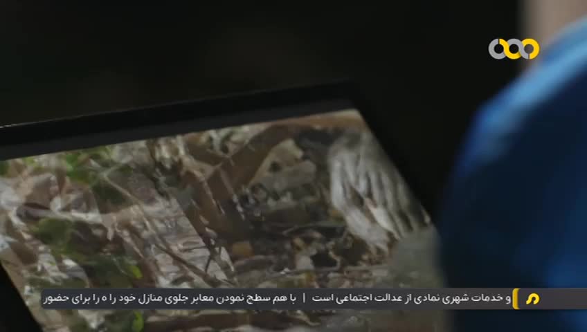 GIA TV Program Thumbnail, Poster