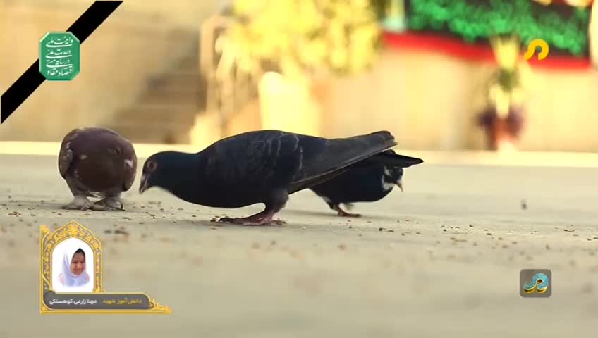 GIA TV Program Thumbnail, Poster