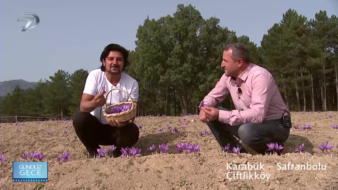 GIA TV Program Thumbnail, Poster