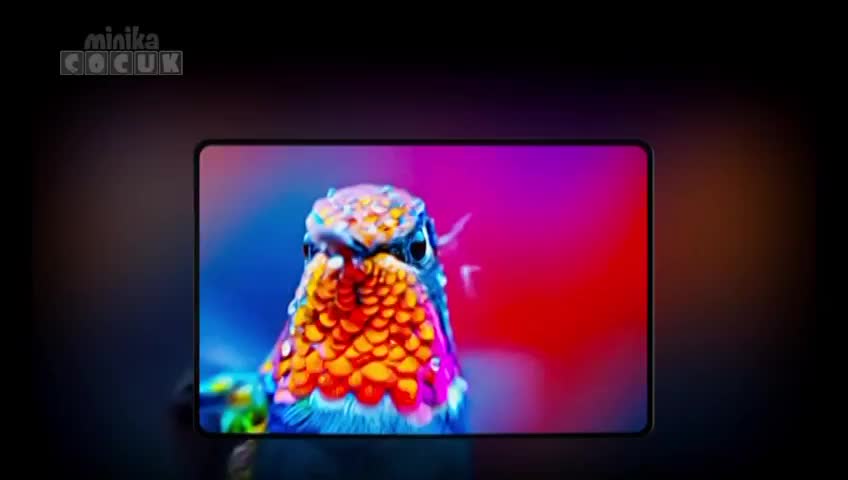 GIA TV Program Thumbnail, Poster