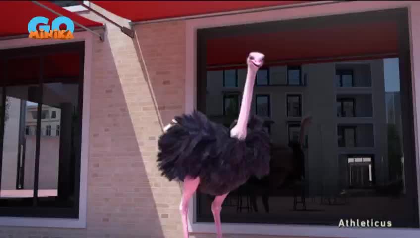 GIA TV Program Thumbnail, Poster