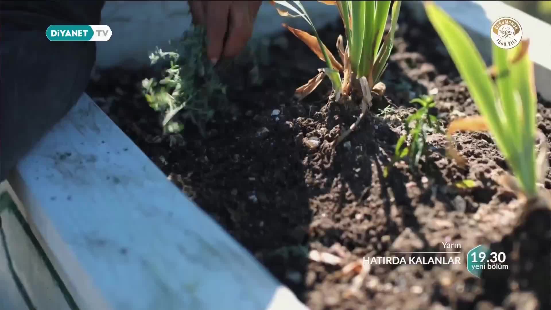 GIA TV Program Thumbnail, Poster