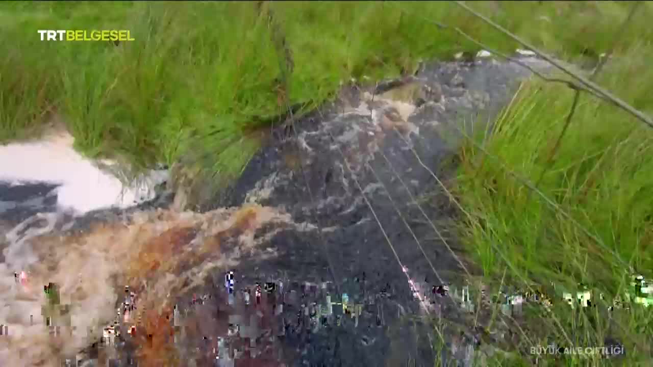 GIA TV Program Thumbnail, Poster