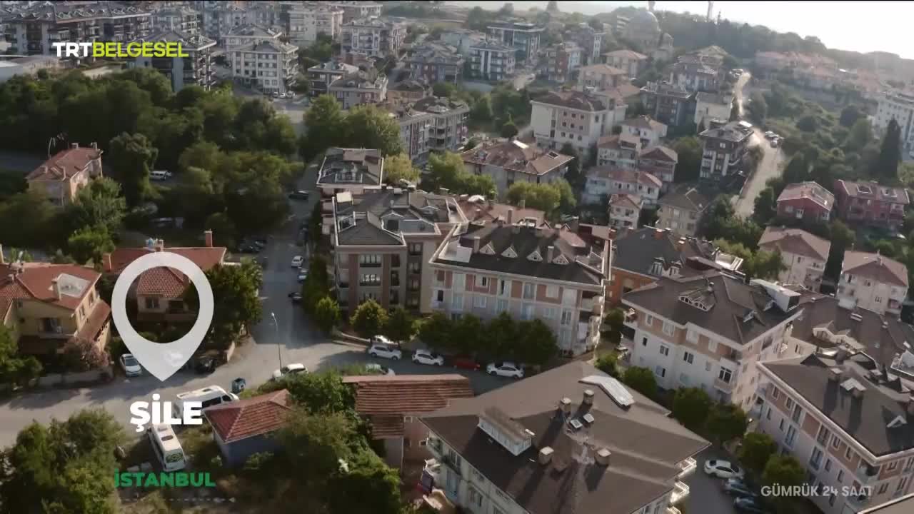 GIA TV Program Thumbnail, Poster