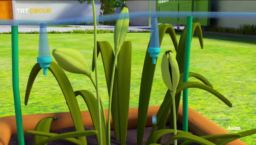 GIA TV Program Thumbnail, Poster