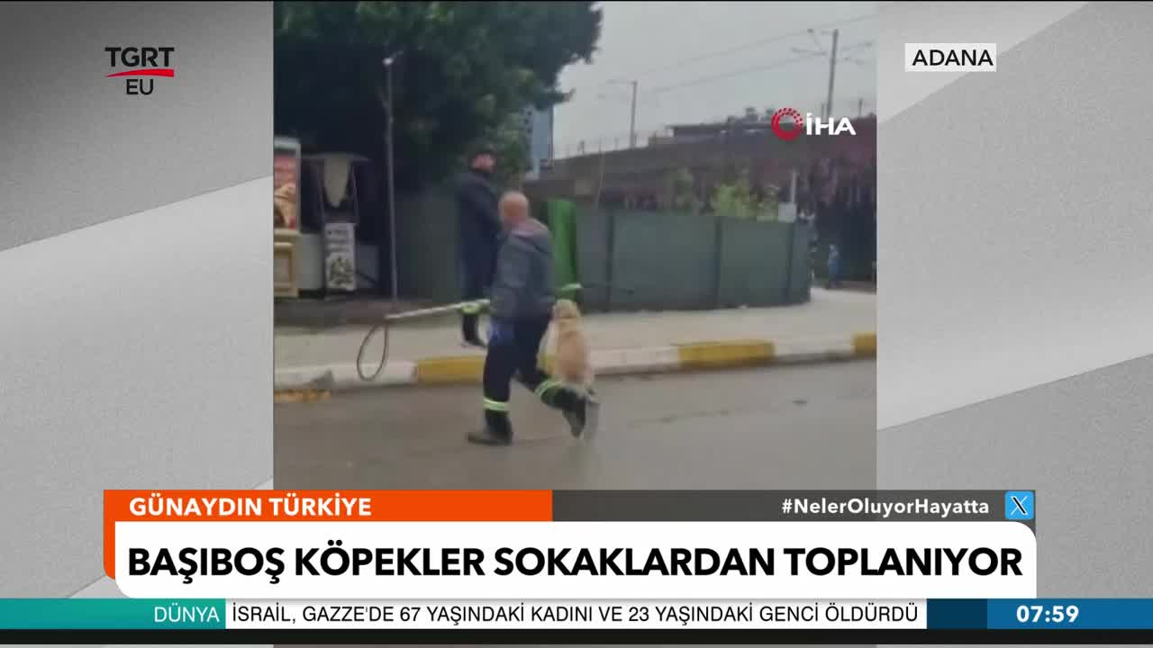 GIA TV Program Thumbnail, Poster