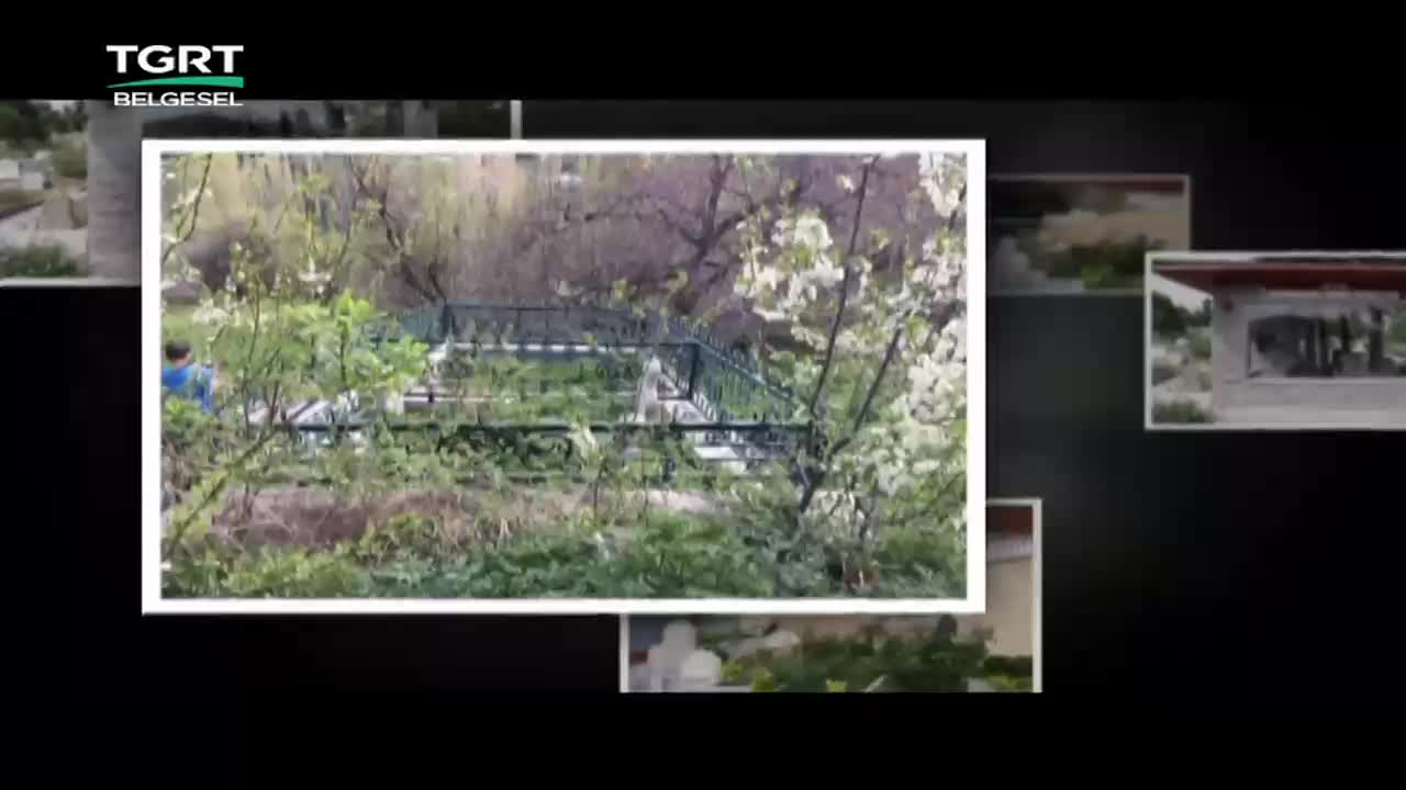 GIA TV Program Thumbnail, Poster