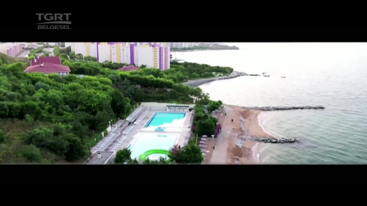 GIA TV Program Thumbnail, Poster