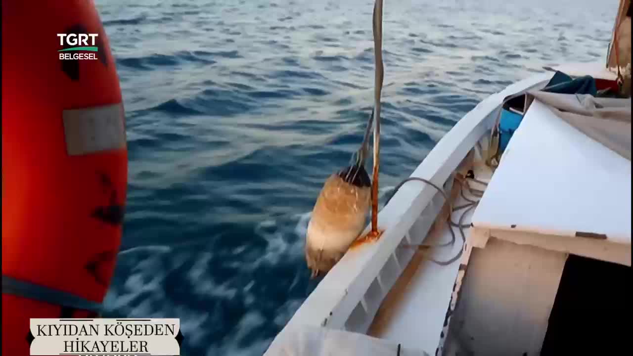 GIA TV Program Thumbnail, Poster