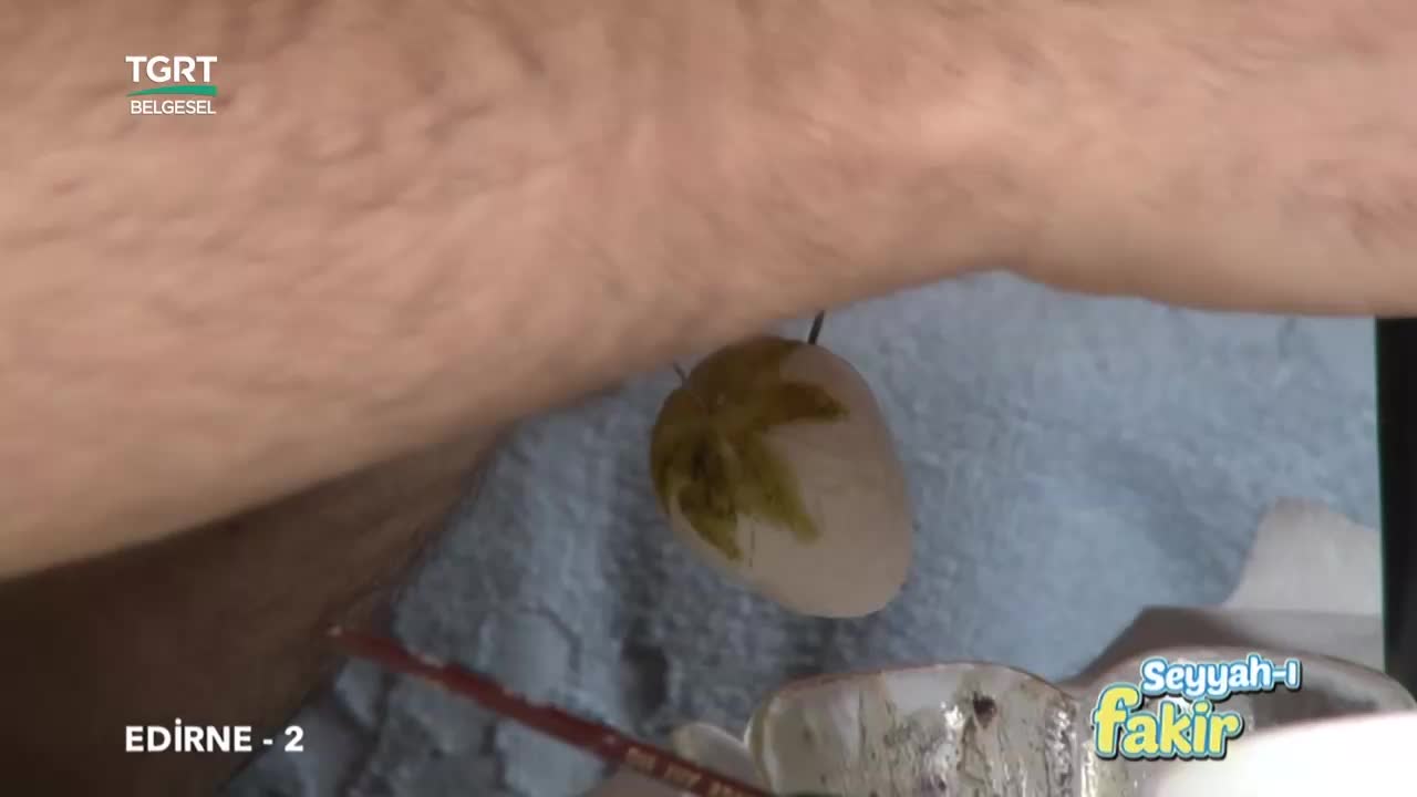 GIA TV Program Thumbnail, Poster