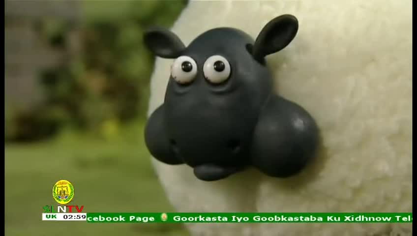 GIA TV Program Thumbnail, Poster
