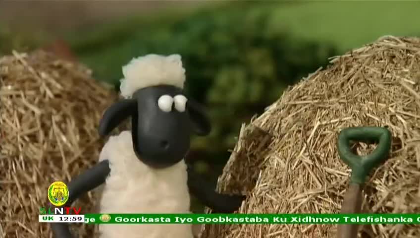 GIA TV Program Thumbnail, Poster