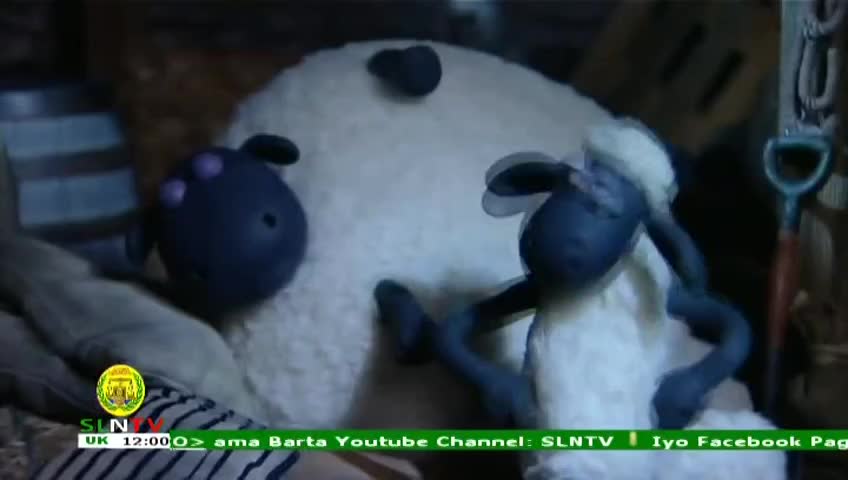 GIA TV Program Thumbnail, Poster