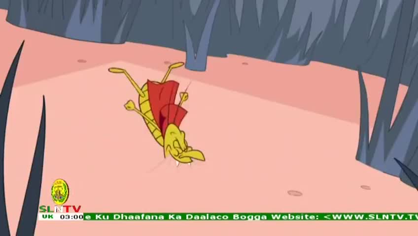 GIA TV Program Thumbnail, Poster