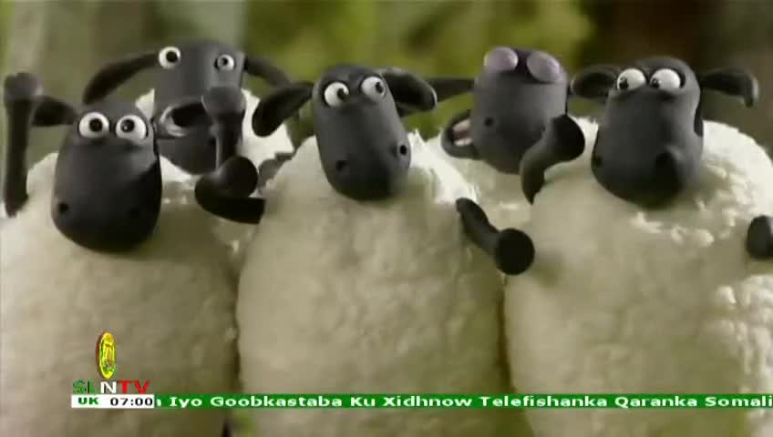 GIA TV Program Thumbnail, Poster