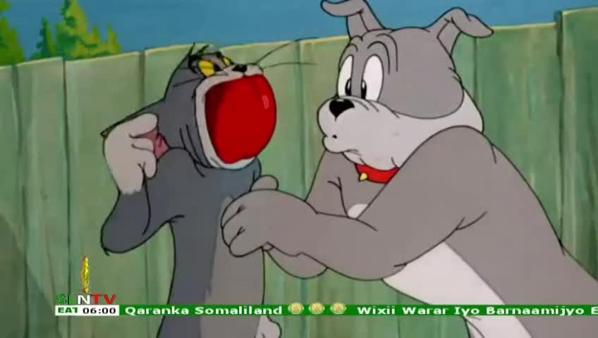 GIA TV Program Thumbnail, Poster