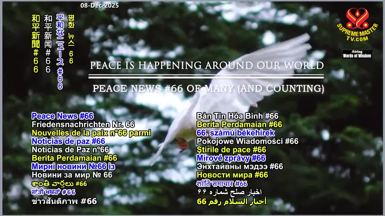 GIA TV Program Thumbnail, Poster