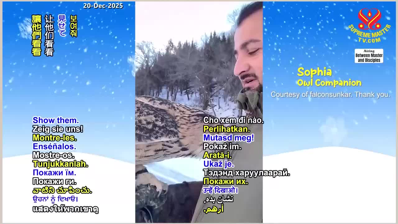 GIA TV Program Thumbnail, Poster