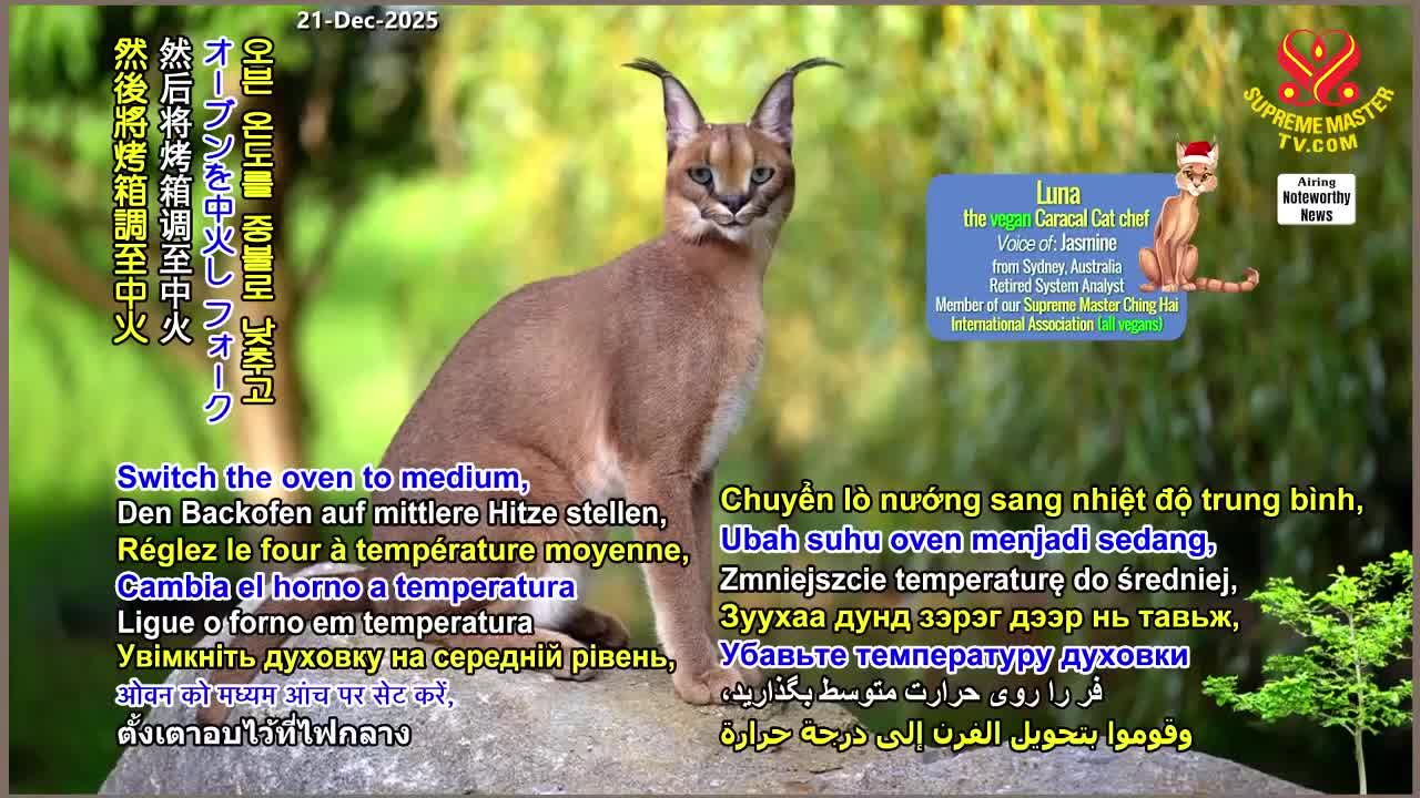 GIA TV Program Thumbnail, Poster