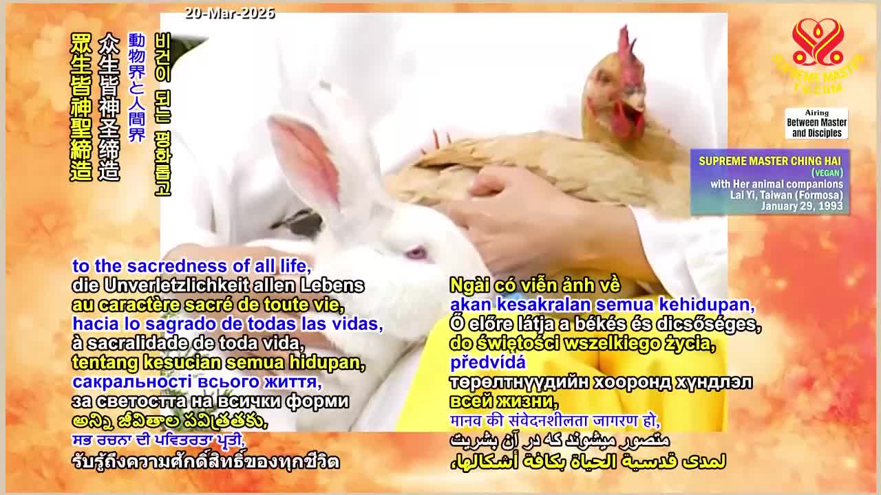 GIA TV Program Thumbnail, Poster