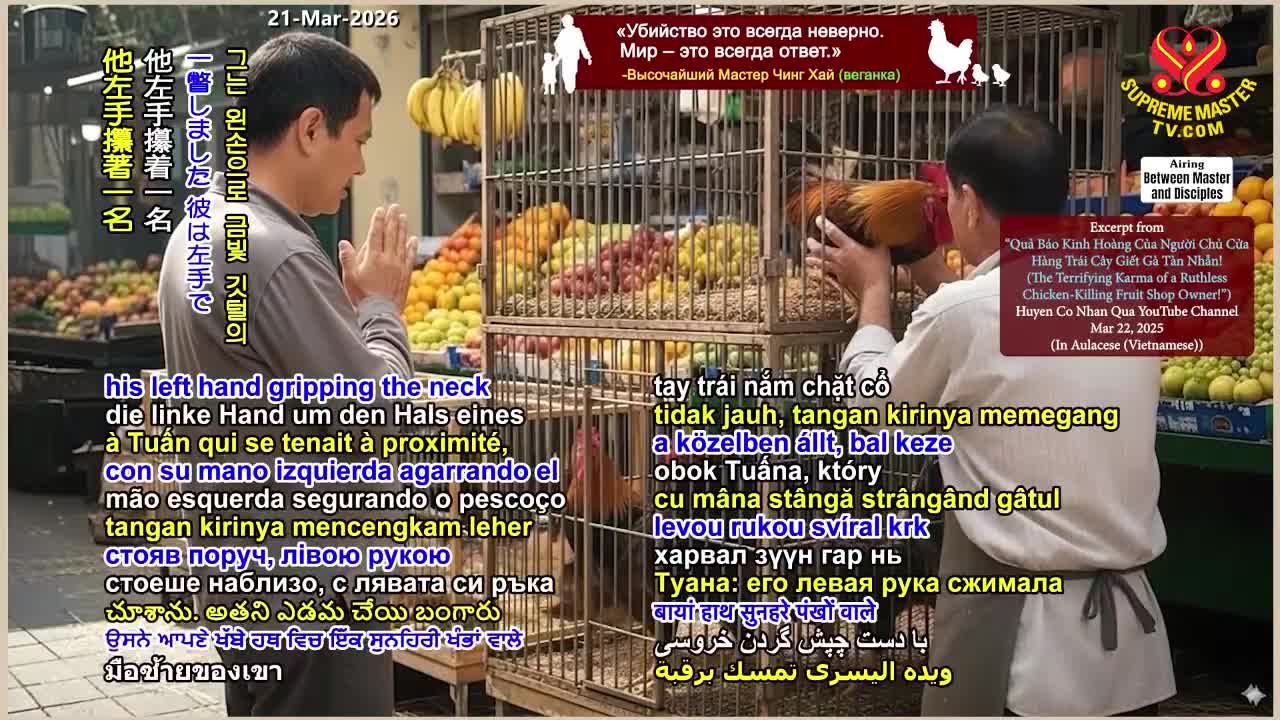 GIA TV Program Thumbnail, Poster