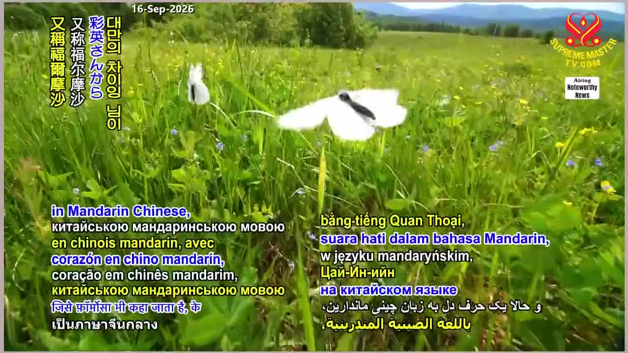 GIA TV Program Thumbnail, Poster