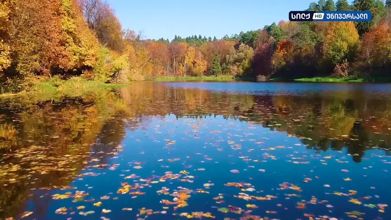 GIA TV Program Thumbnail, Poster