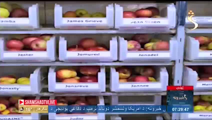 GIA TV Program Thumbnail, Poster