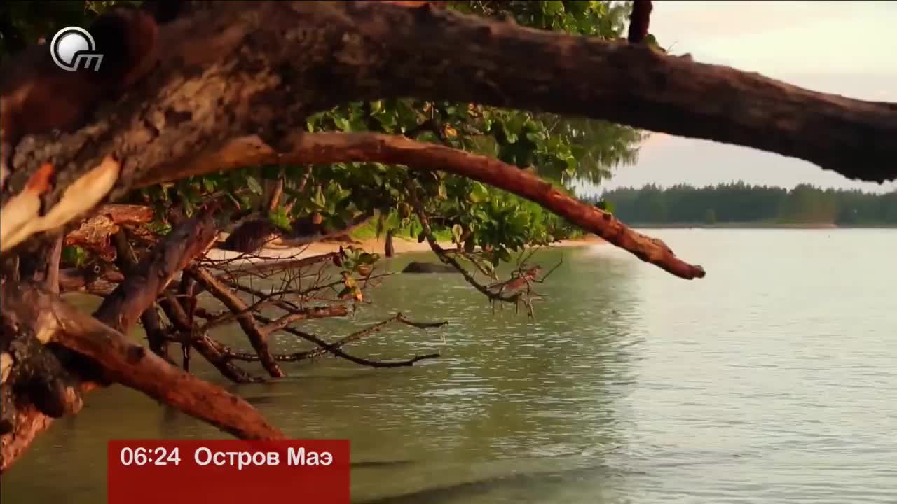 GIA TV Program Thumbnail, Poster