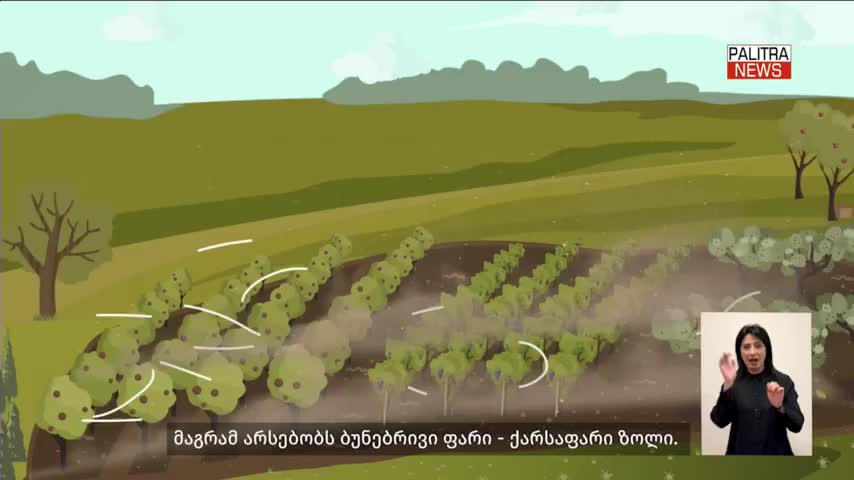 GIA TV Program Thumbnail, Poster