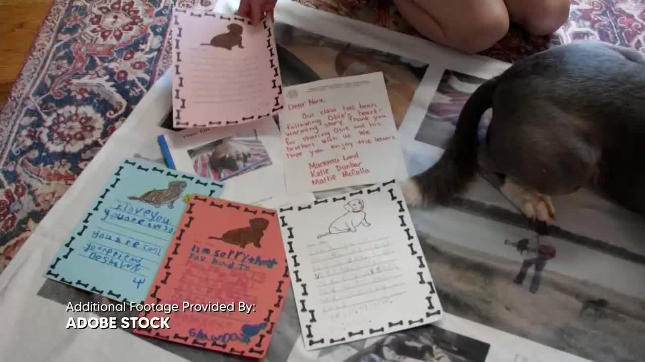 GIA TV Program Thumbnail, Poster