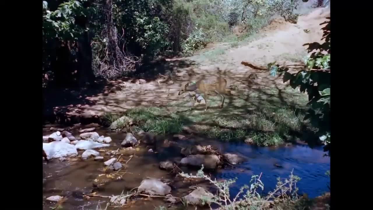 GIA TV Program Thumbnail, Poster