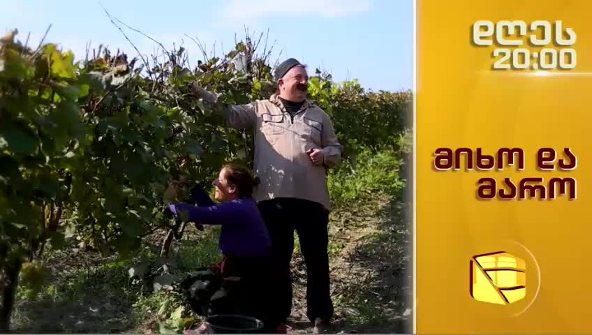 GIA TV Program Thumbnail, Poster